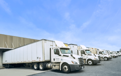 The Role of Large Cross-Dock Warehouses in the Supply Chain