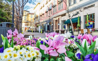 Spring Fulfillment Solutions